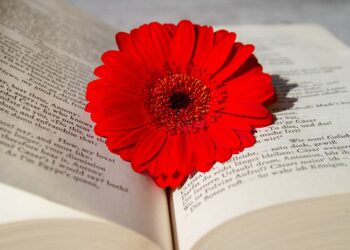 Exploring New Horizons: The Benefits of Studying Abroad
