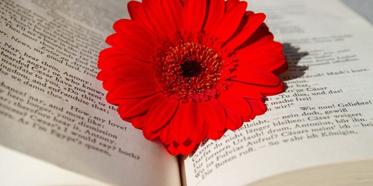 Exploring New Horizons: The Benefits of Studying Abroad