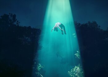 From Dream to Reality: India’s Elite Few with the Highest Degree