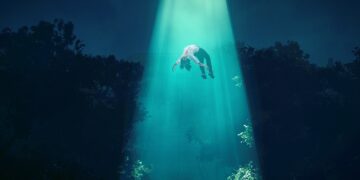 From Dream to Reality: India’s Elite Few with the Highest Degree