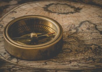 Breaking Down the Most In-Demand Degree Courses