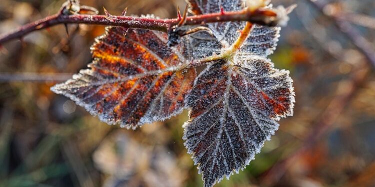 Unraveling the Indian Education System: Navigating the Ins and Outs of Pursuing a Degree in India