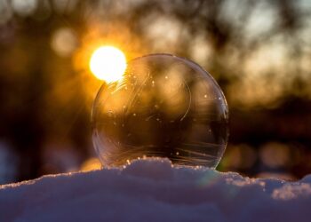 Cracking the Code: Decoding the Degree Credit System in Higher Education