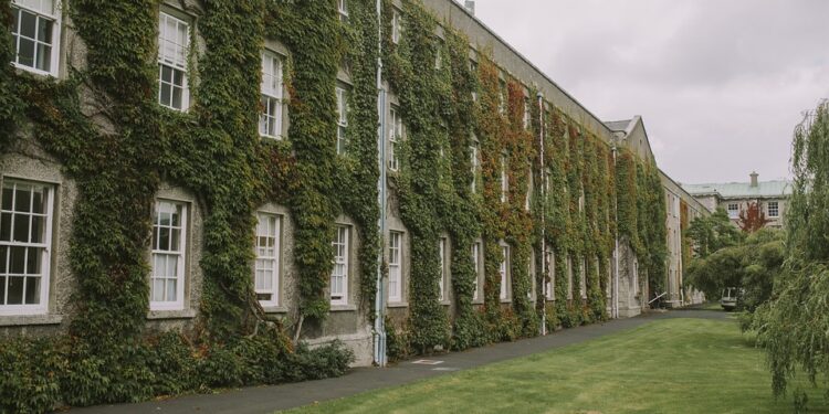 NIRF Rankings 2022: Top Indian Institutions Shine in New Rankings