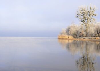 Introducing the Ultimate Degree Credit Calculator: Streamlining the Process of Credit Transfer