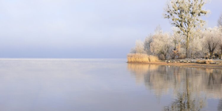 Introducing the Ultimate Degree Credit Calculator: Streamlining the Process of Credit Transfer