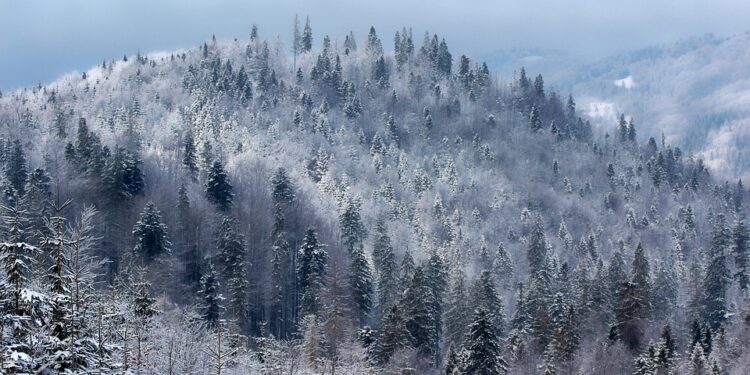 Beyond Graduate Studies: Understanding India’s Highest Degree Options