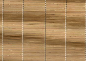 Empowering Students and Teachers: How the Education Policy 2023 Aims to Enhance Educational Experience