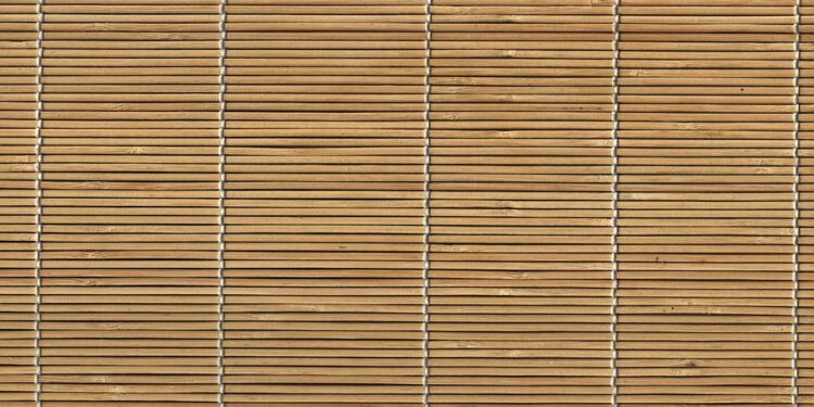 Empowering Students and Teachers: How the Education Policy 2023 Aims to Enhance Educational Experience