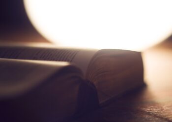 Breaking Down the Components of BTech Credit Transfer Fees