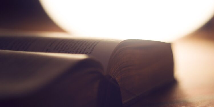 Breaking Down the Components of BTech Credit Transfer Fees