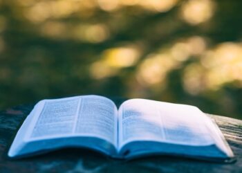 From One University to Another: A Guide to Successfully Transferring B.Tech Credits