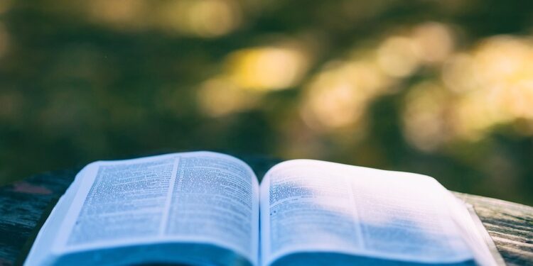 From One University to Another: A Guide to Successfully Transferring B.Tech Credits