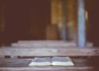 A Step Towards Flexibility: Kerala Colleges Embrace B.Tech Credit Transfer System