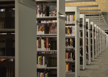 Driving Innovation and Entrepreneurship: Medugare Institute’s Role in the Tech Start-up Ecosystem