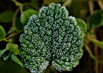 Strategic Degree Courses: Mapping Your Career Path with Precision