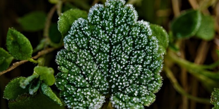 Strategic Degree Courses: Mapping Your Career Path with Precision