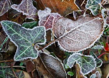 Unlocking Opportunities: The Hottest Degree Courses in Today’s Market