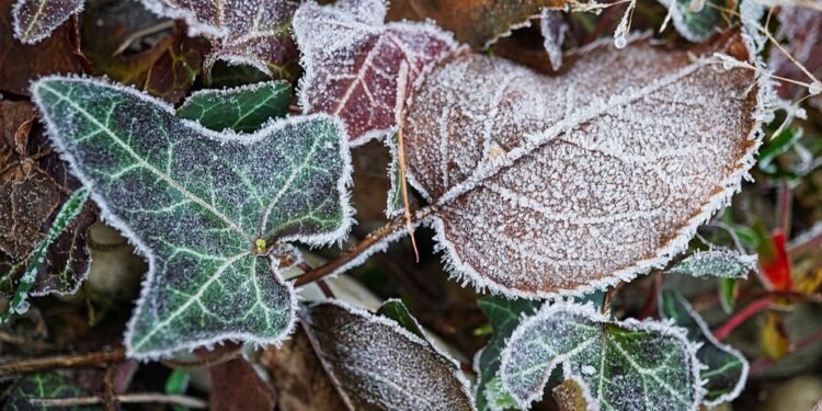 Unlocking Opportunities: The Hottest Degree Courses in Today’s Market