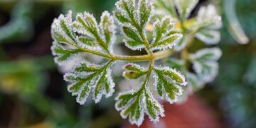 The Power of Choice: Decoding the Degree Credit Transfer Process