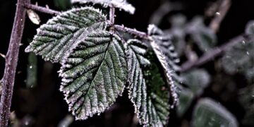 The Impact of Degree Credit Systems on Student Success and Graduation Rates