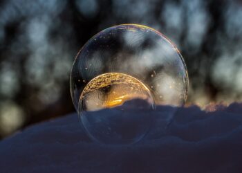 Charting New Frontiers: India’s Highest Degree Pushes Boundaries of Education