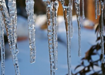 Maximize Your Education: Navigate Degree Credits Efficiently with our Calculator