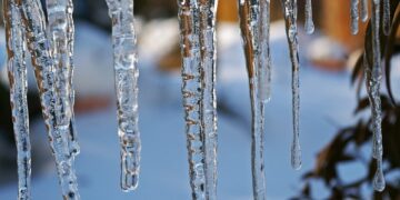 Maximize Your Education: Navigate Degree Credits Efficiently with our Calculator