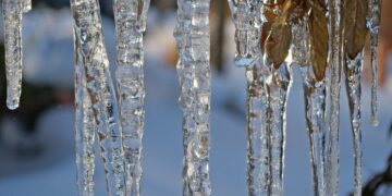 Getting Credit Where it’s Due: A Comprehensive Look at Degree Credit Transfer