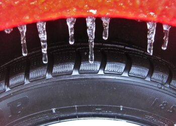 Maximizing Your Education: The Benefits of Degree Credit Transfer