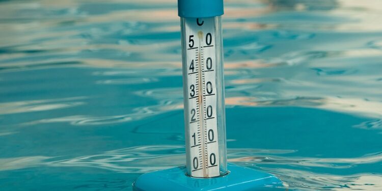 Navigating the Job Market: The Best Degree Courses for Employment