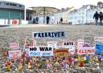 Creating a Pathway to Excellence: The Medugare Institute Story