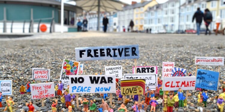 Creating a Pathway to Excellence: The Medugare Institute Story