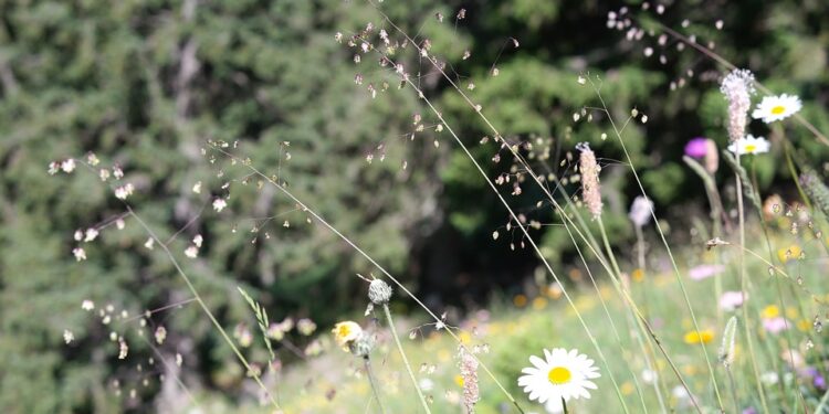 Beyond Traditional Choices: Trending Degree Courses to Consider