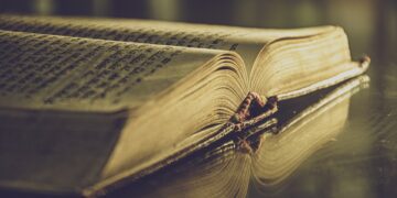 From Transfer Student to Success Story: How B.Tech Credit Transfers Can Shape Your Career