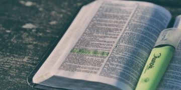 Making the Most of your B Tech Education: Leveraging Credit Transfer Opportunities