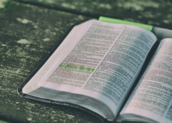 Getting ahead with B.Tech Credit Transfers: Exploring the Path to Graduating Faster