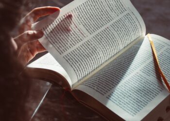 Transfer Your Success: B.Tech Credit Transfer Initiative Gains Momentum in Kerala