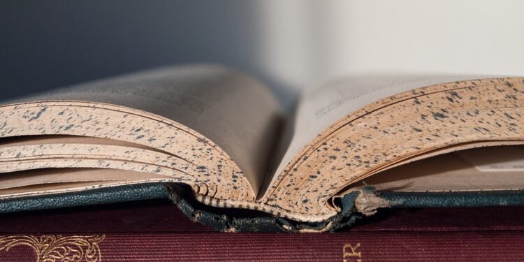 Empowering Students: Kerala’s New Approach to B.Tech Credit Transfers Opens New Doors