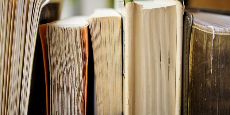 Exploring the Impact of BTech Credit Transfer Fees on Student Finances