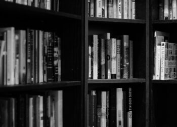 Navigating Digital Literacy: NCTE’s Efforts to Bridge the Gap