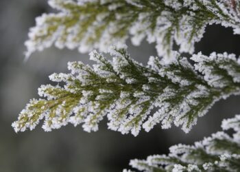 From Passion to Profession: How to Pursue Your Dream Degree Course