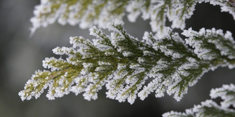 From Passion to Profession: How to Pursue Your Dream Degree Course