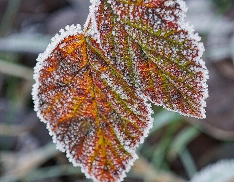 Master the Art of Degree Planning with our Innovative Credit Calculator