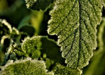 Choosing the Right Degree Course: A Comprehensive Guide for Students