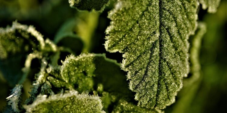 Choosing the Right Degree Course: A Comprehensive Guide for Students