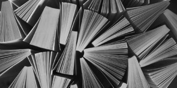 Adapting your Academic Path: Exploring the Flexibility of B Tech Credit Transfer