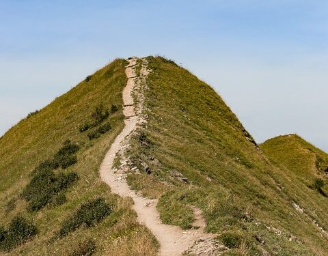 Bridge to Success: Understanding Degree Credit Transfer and Its Impact