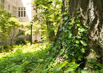 Pharmacy Council of India Sets New Benchmarks in Pharmacy Education Quality