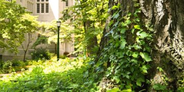 Pharmacy Council of India Sets New Benchmarks in Pharmacy Education Quality